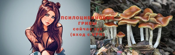 метадон Дмитровск