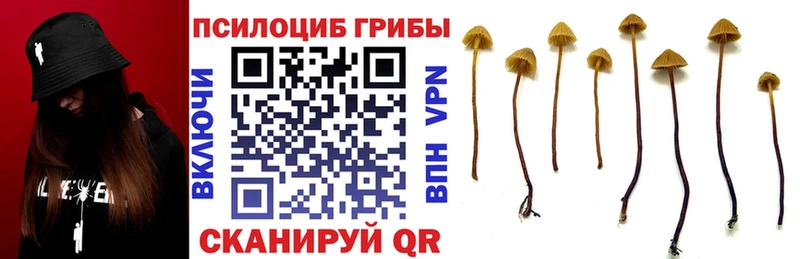 Купить закладки  Байкальск  Галлюциногенные грибы мицелий 