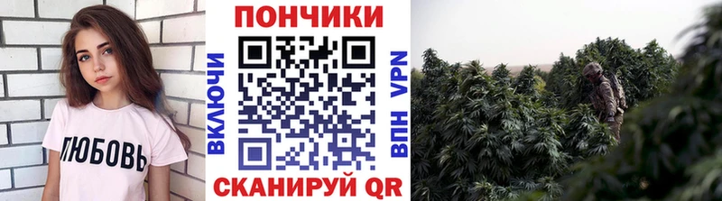 Купить где Байкальск Канабис конопля